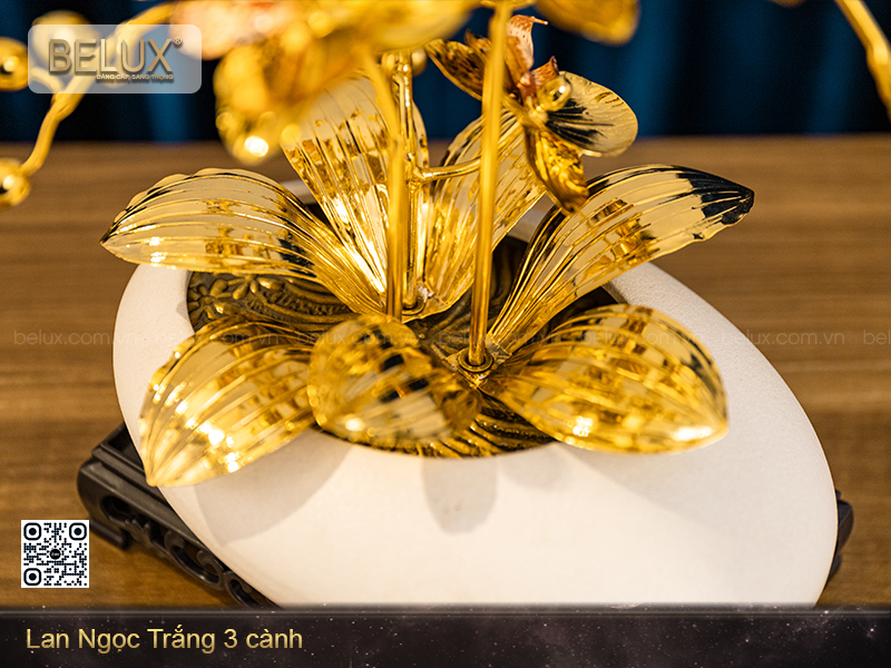 Lan ngọc trắng 3 cành